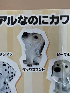 THE 犬　イヤフォンジャックマスコット　ダックスフント