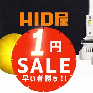 【1円～限定セール！】【数量限定！】 HID屋 LED 爆光 フォグランプ イエロー 10400lm H8/H11/H16 車検対応 安心保証