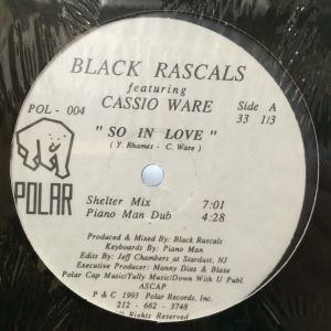 12inchレコード BLACK RASCALS / SO IN LOVE feat. CASSIO WARE