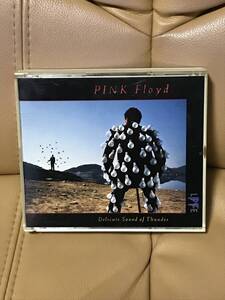 国内盤　CD 2枚組　「光～パーフェクト・ライヴ!」　ピンク・フロイドPink Floyd Delicate Sound of Thunder プログレ　貴重盤