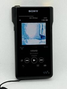 動作確認済み SONY ソニー ウォークマン NW-WM1A ハイレゾ対応 即決