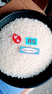 ◆高冷地栽培◆ R５年産 ミルキークイーン １等精米　２０kg　