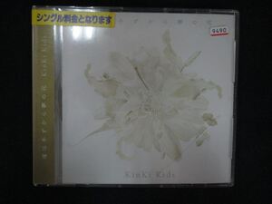 1386 レンタル版CDS 道は手ずから夢の花/KinKi Kids