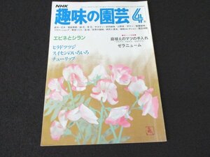 本 No1 03196 NHK 趣味の園芸 昭和57年4月号 エビネとシラン ヒラドツツジ スイセンのいろいろ チューリップ 庭植えのマツの手入れ