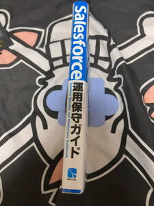 Salesforce運用保守ガイド 