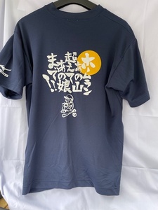 　MIZUNO Tシャツ L JASPO（吸汗・速乾？）紺系バックプリンホームラン あの山超えてあの娘まで！！　