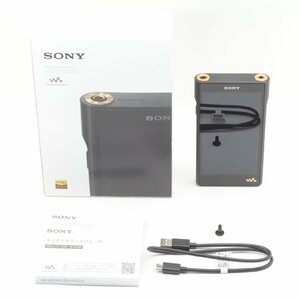 SONY NW-WM1AM2