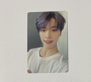 SEVENTEEN ディノ ひとりじゃない CARAT盤 特典 トレカ DINO Photocard