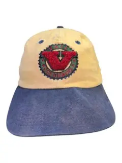 [0] VAIL COLORADO VINTAGE 90s HAT