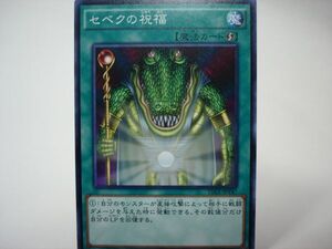 遊戯王15AX-Y47　セベクの祝福１枚