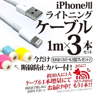 iPhone ライトニングケーブル Lightningケーブル 充電器 USBケーブル 充電ケーブル アップル Apple製品用 タイプA TypeA 純正品質