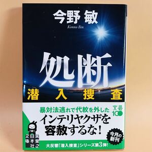 今野敏　潜入捜査　処断