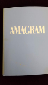 アムウェイ・雑誌／「ＡＭＡＧＲＡＭ」２００１年２月～２００３年７月号／計２２冊ファイル綴じ