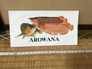 送料無料!】アロワナ.ステッカー/AROWANA/未使用/検)アジア.ウルトラレッド.辣椒紅龍.血.アルティマ.スーパー.過背金龍.高.紅尾.ゴールデン