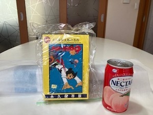 サイボーグ００９　永久保存版　プラモデル　　イマイ　　訳あり品