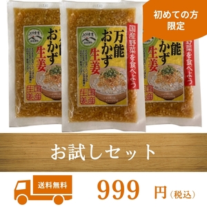 《万能おかず生姜》★初めて購入される方のみ限定★ 九州 グルメ 加工食品 送料無料 万能おかず 生姜 漬物 国産 野菜 しょうが 生姜 宮崎