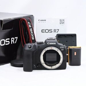 [新品級] Canon ミラーレス一眼カメラ EOS R7 ボディ #1019