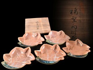 【雲】某名家収蔵品 井伊大老 遺作写 橘形向附皿 5客 14.5×17.5×2.8cm 箱付 古美術品(懐石料理道具旧家蔵出)AY983 LTgves OBujfy