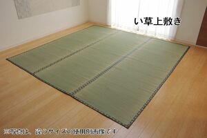 国産い草上敷きカーペット「松」江戸間6畳 ラグ 畳（983）