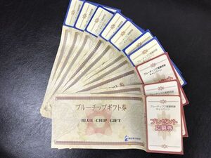 ブルーチップ ギフト券 10枚 応募券 期限なし BLUE CHIP 【大黒屋】