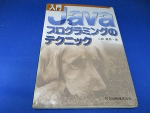 入門 Javaプログラミングのテクニック 単行本 2001/10/1 三和 義秀 (著)