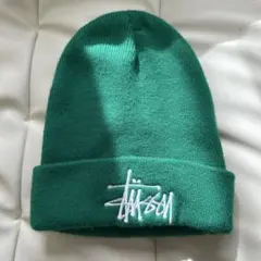 STUSSY 緑 ニット帽