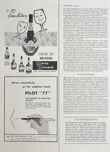 稀少・広告！1959年パイロット万年筆広告/Pilot 77 Pen/文房具//Marie Brizard/酒/P 