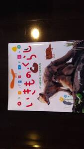 いきもの・くらし★スーパーワイドずかん★にっぽんの動物たち★定価800★大人★保育遠児★小学生★