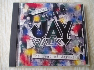 J-WALK/THE BEST OF JAY WALK 何も言えなくて… 全15曲 ベスト 