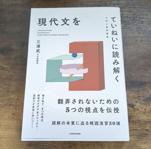 【古本】大学入試問題集 現代文をていねいに読み解く　現代文　参考書