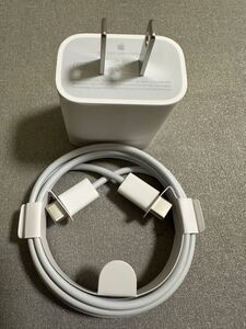 Apple 20W USB-C充電器 アダプタ A1997ケーブル　Apple純正品　iPad 付属品