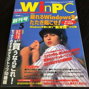 リ73 日経WinPC 1995年5月 ウインピーシー パソコン活用誌 Windows インターネット アダプター 資料 機能 ソフト 使い方 電子 ゲーム