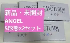 SANCTUARY ANGEL Ver 5形態　2セット