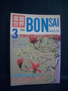 ★　盆栽世界　★　1988年 3月号