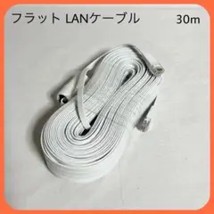 フラット LANケーブル 30m POE給電 コード RJ45 PC/ルーター用