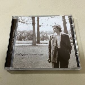 Remastered DAVID SYLVIAN BRILLIANT TREES デイヴィッドシルヴィアン /Japan