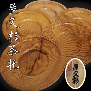 屋久杉 茶托 5客セット 木製 茶道具 煎茶道具 小道具 茶席 和食器 茶器 おもてなし コースター 来客用 古道具 レトロ【プi3961】