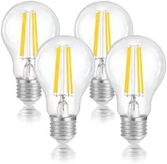 FLSNT LED電球 エジソン電球 E26口金　フィラメント　 広配光　ムード