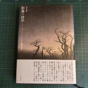 影像の詩学 ＜古典転生 ワレンシュタイン 9＞ シラー『ヴァレンシュタイン』と一義性の思考 青木敦子 著 出版社 月曜社