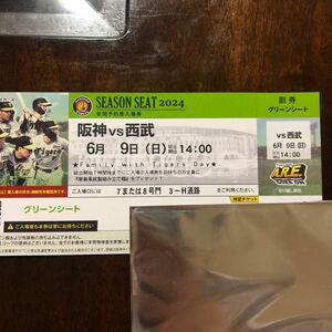 阪神VS西武　6月9日 日曜日　14時試合開始　甲子園球場　グリーンシート　チケット1枚　中止補償有 