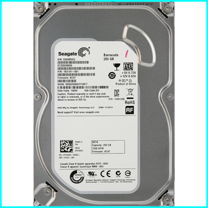 Seagate ST250DM000-1BD141-501 DP/N 0YVMKX 3.5インチ SATA600 250GB 875回 5872時間