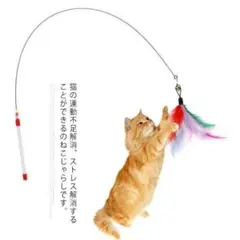 ねこじゃらし替え4点セット