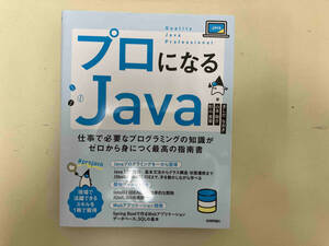 プロになるJava きしだなおき