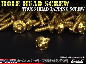 M5×20mm SUSステンレス ホールヘッドネジ H-1 タッピングネジ トラス頭 フランジ カウルやパネルなどに ゴールド TC0114