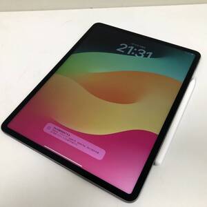 【apple ipad pro】アップル 第5世代 MHNF3J/A A2378 128gb applepencilペンシル付 初期化済