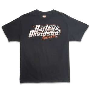 古着 ハーレーダビッドソン HARLEY-DAVIDSON プリントTシャツ ブラック 表記：M　gd402254n w40411