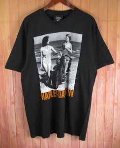 ST11042 90s HARLEY-DAVIDSON ハーレーダビッドソン Tシャツ MUSEUM フォトプリント USA製 ブラック XL 美品（クリックポスト可）