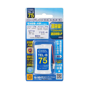 まとめ得 オーム電機 コードレス電話機用充電式ニッケル水素電池 05-0075 TEL-B75 x [2個] /l