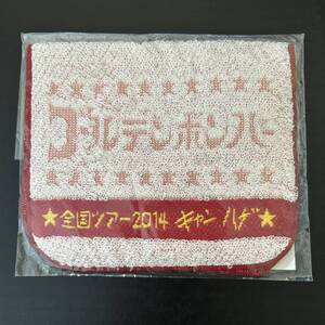 未使用品★ポケットタオル② 鬼龍院翔【2014年 ゴールデンボンバー キャンハゲ ハンドタオル グッズ ガチャ 赤】