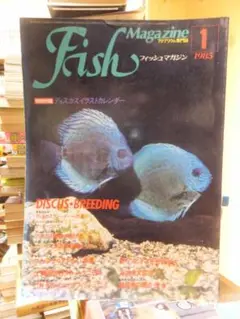 Fish Magazine　フィッシュマガジン　１９８５年１月号